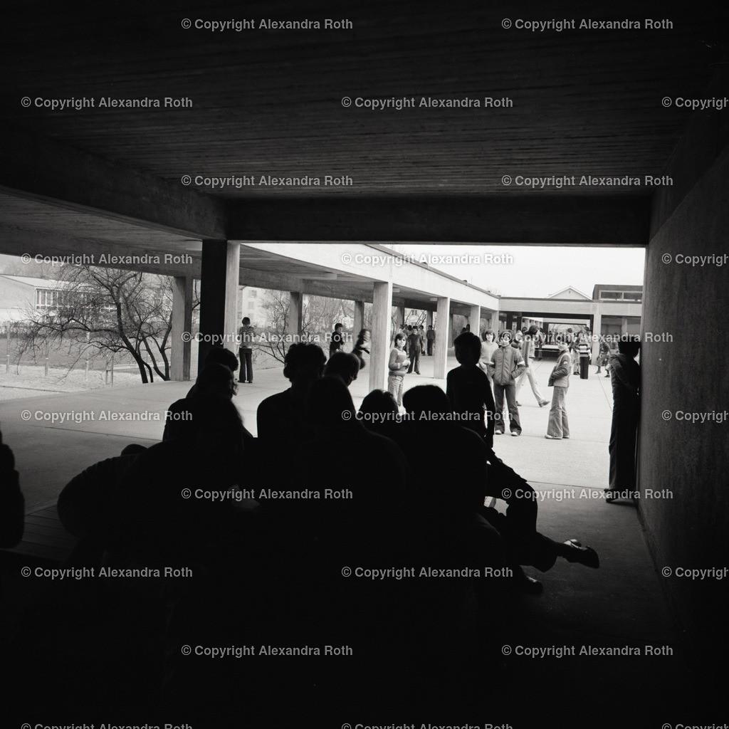 Aarau_0438 | onlineshop - Realisiert mit Pictrs.com