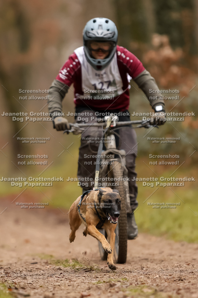 Dog Paparazzi - Speedhunter Mannheim  2025-355 | Dog Paparazzi Jeanette Grottendiek Fotografie & Videografie