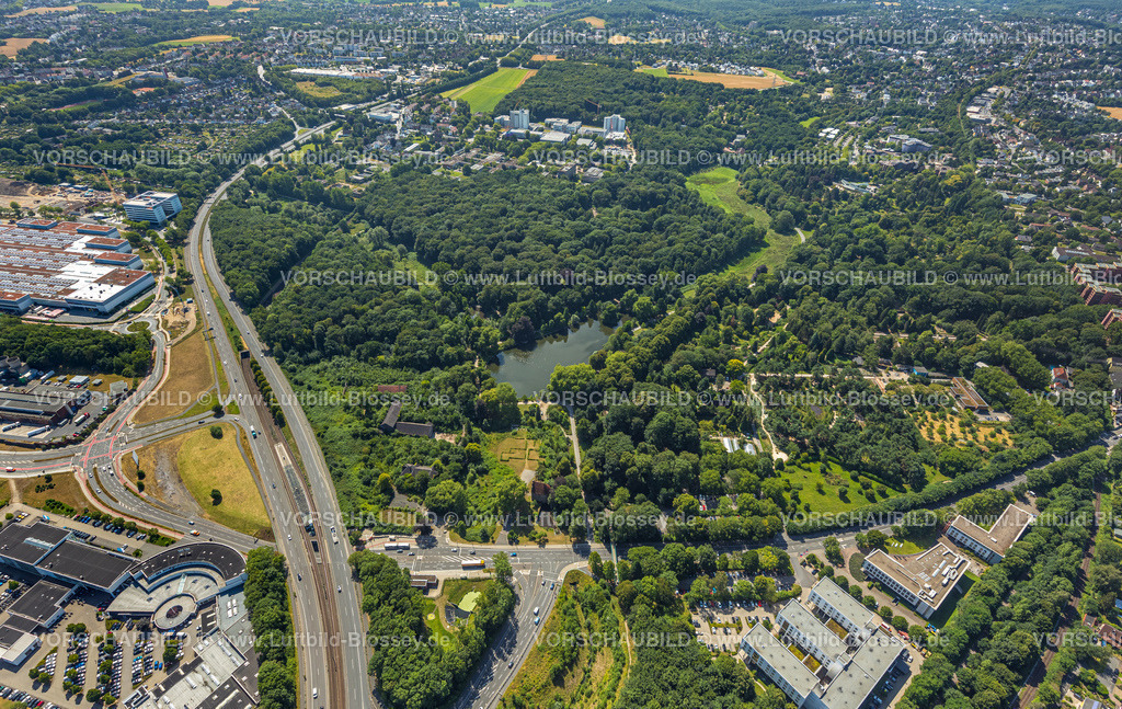 Dortmund220704912 | Luftbild, Rombergpark, grüne Lunge, Rombergpark-Lücklemberg, Dortmund, Ruhrgebiet, Nordrhein-Westfalen, Deutschland