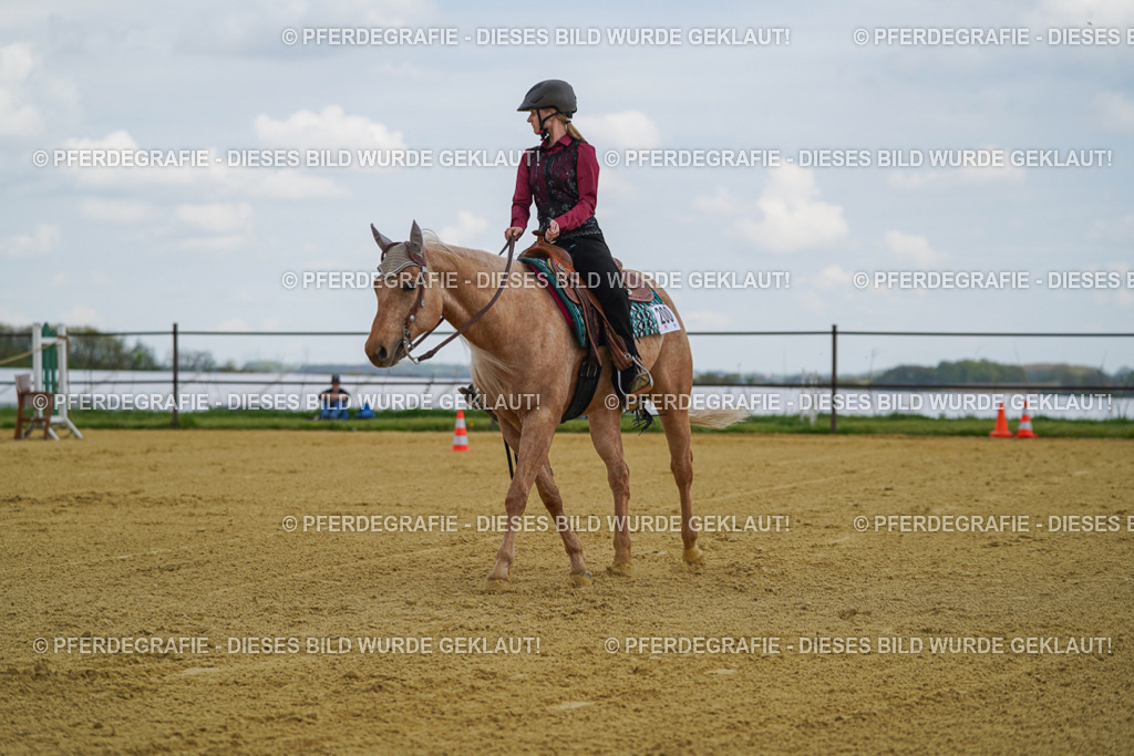 DSC05717 | Pferdegrafie