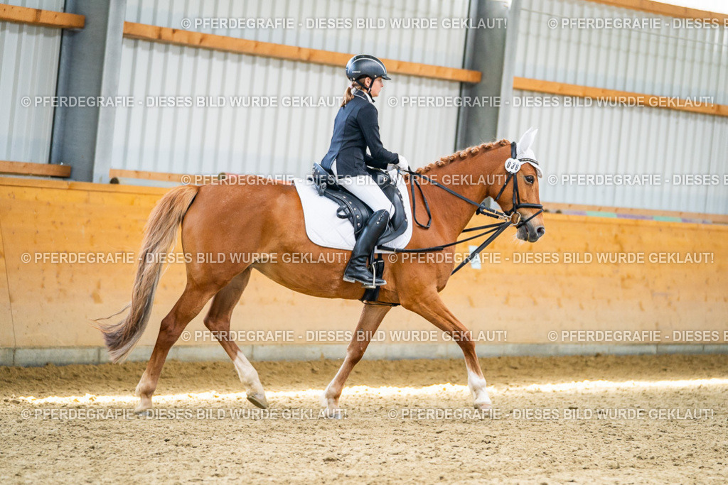 DSC02817 | Pferdegrafie