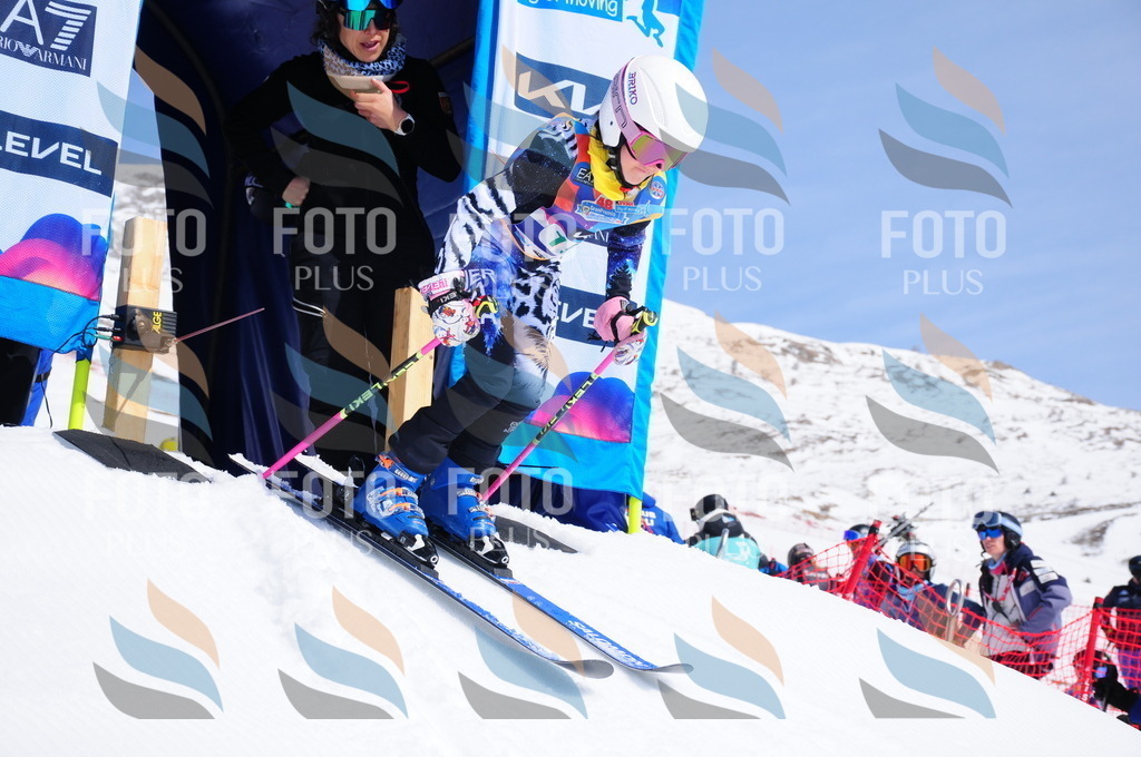 DSC_1328 | holidayphoto