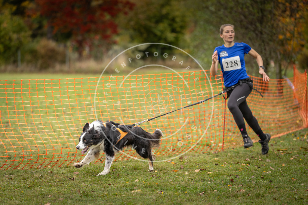 Pfotenfotografie_DV3A4532 | Hundefotografie, Tierfotograf, Pfotenfotografie, Fotoshooting Hund, Hunde Portrait, Hundesport, Hundeportraits, Heideshooting, Hunde, Sportfotograf, Hundefotograf, Turnierhundsport, THS,  - Realisiert mit Pictrs.com