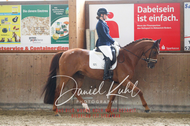 DKP44259 | Turniersportfotografie; Pferdefotografie; Dressurfotografie