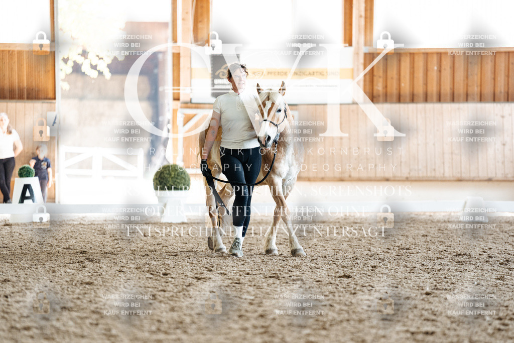 CK907853 | Turnierfotografie Pferdefotografie Trier Rheinland-Pfalz Pferdesport Reitsport Tierfotografie Sportfotografie Pferdevideo Pferdevideografie Equestrianvideography equestrianphotography  - Realisiert mit Pictrs.com
