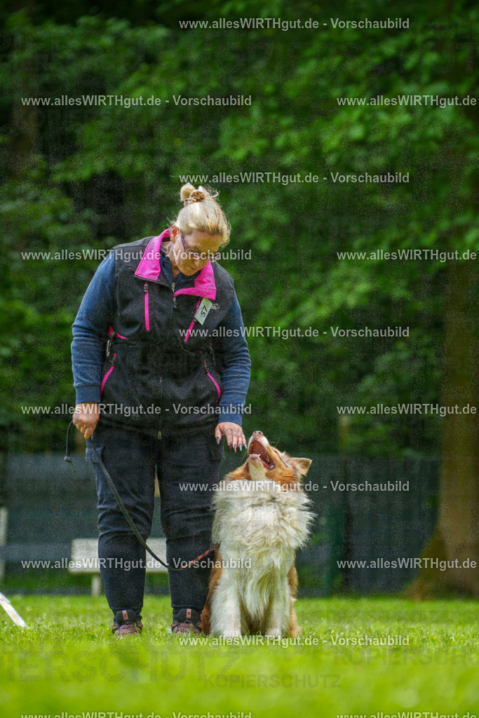 @allesWIRTHgut_Tierfotografie - www.allesWIRTHgut.de - 7R501236 | Professionelle Tierfotografie in Mönchengladbach von Daniel Wirth (allesWIRTHgut). Liebevolle & natürliche Bilder von Hunden & Katzen für unvergessliche Erinnerungen.