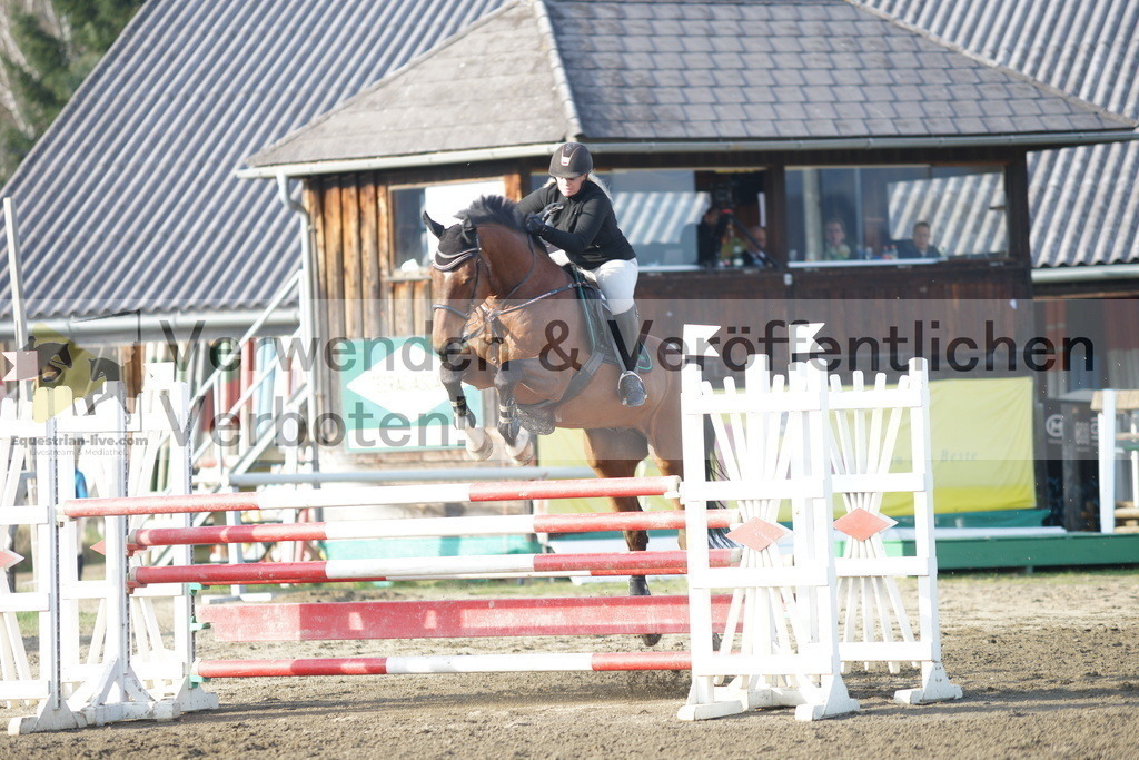 DSC03566 | equestrian-live-com