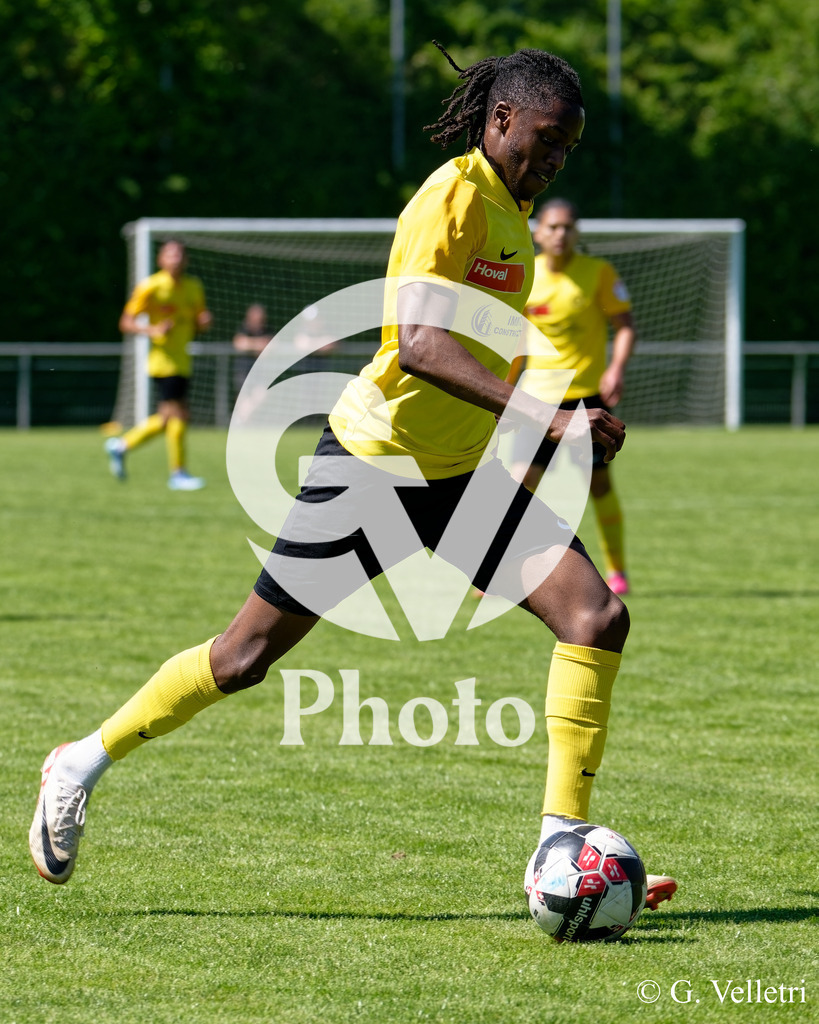 DSC_7657 | Velletri Photo