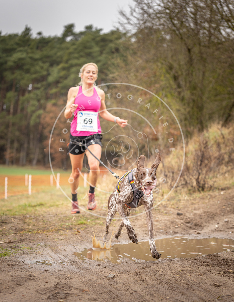 DV3A0131 | Hundefotografie, Tierfotograf, Pfotenfotografie, Fotoshooting Hund, Hunde Portrait, Hundesport, Hundeportraits, Heideshooting, Hunde, Sportfotograf, Hundefotograf, Turnierhundsport, THS,  - Realisiert mit Pictrs.com