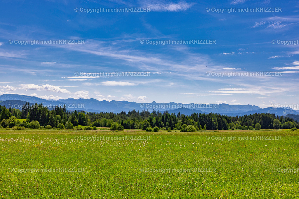 _J3A1665 | medienkrizzler - Realisiert mit Pictrs.com