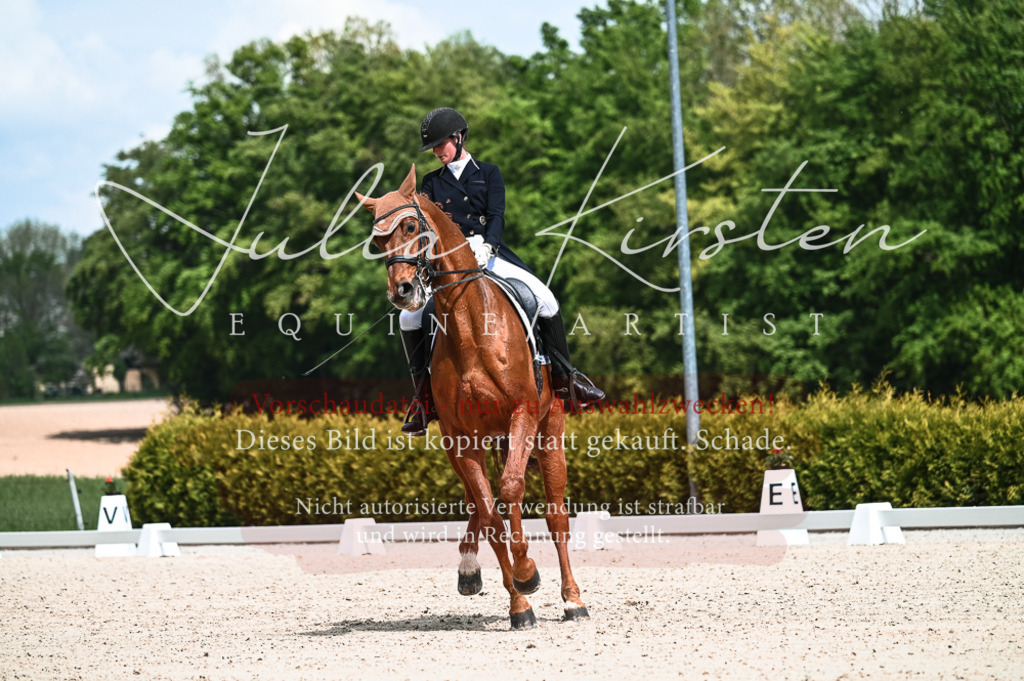 20230514_JK-Röhrsdorf-21-036 | Pferde- und Turnierfotografie in Westsachsen. Pferdeportraits, Auftragszeichnungen und intuitive Kunst.