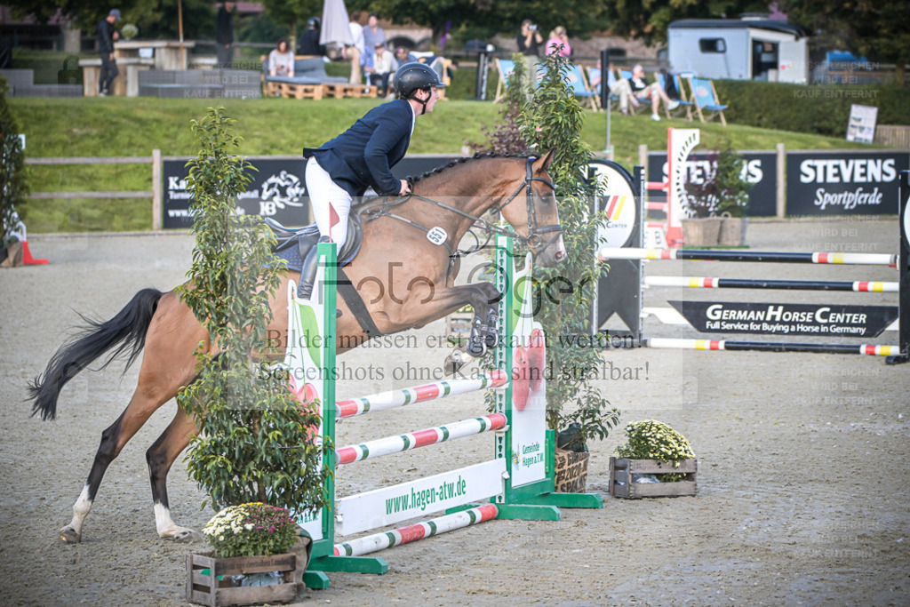 DOS_8273 | Entdecke hochwertige Reitturnierfotos von Foto Oger. Professionell, emotional und authentisch – jetzt Lieblingsmomente im Shop bestellen. - Realisiert mit Pictrs.com