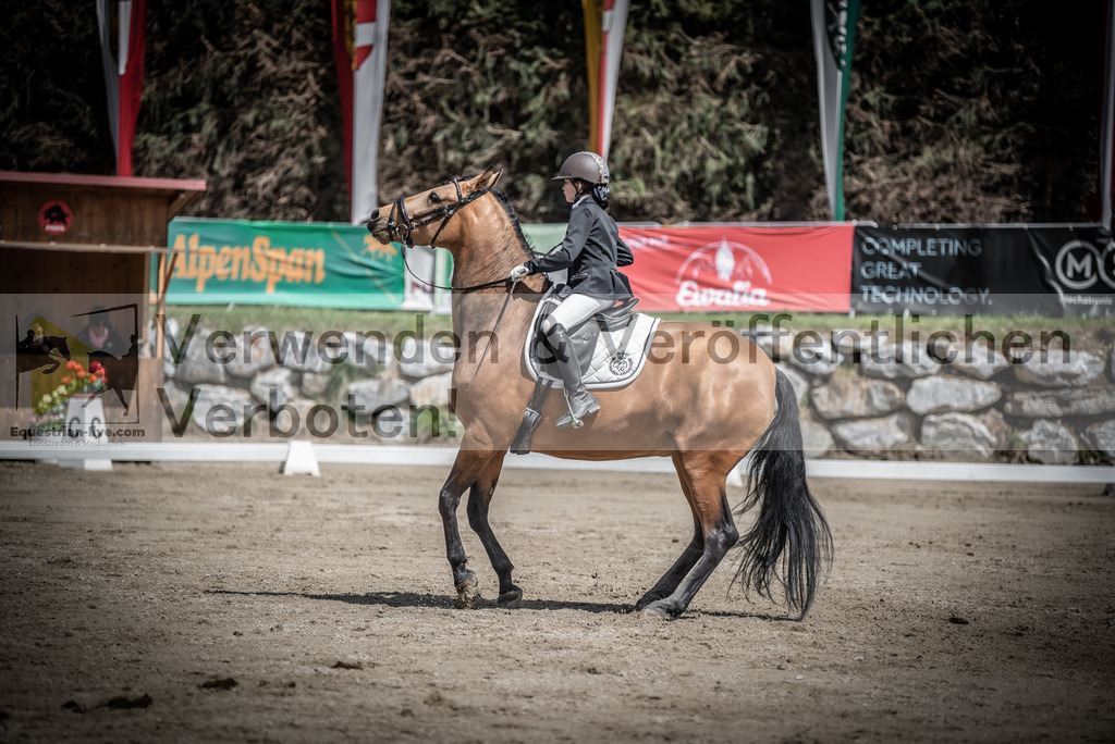 DSC_0806 | equestrian-live-com