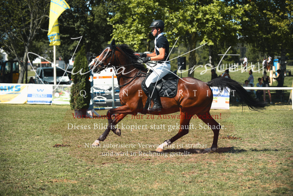 DSC_6989 | Pferde- und Turnierfotografie in Westsachsen. Pferdeportraits, Auftragszeichnungen und intuitive Kunst.