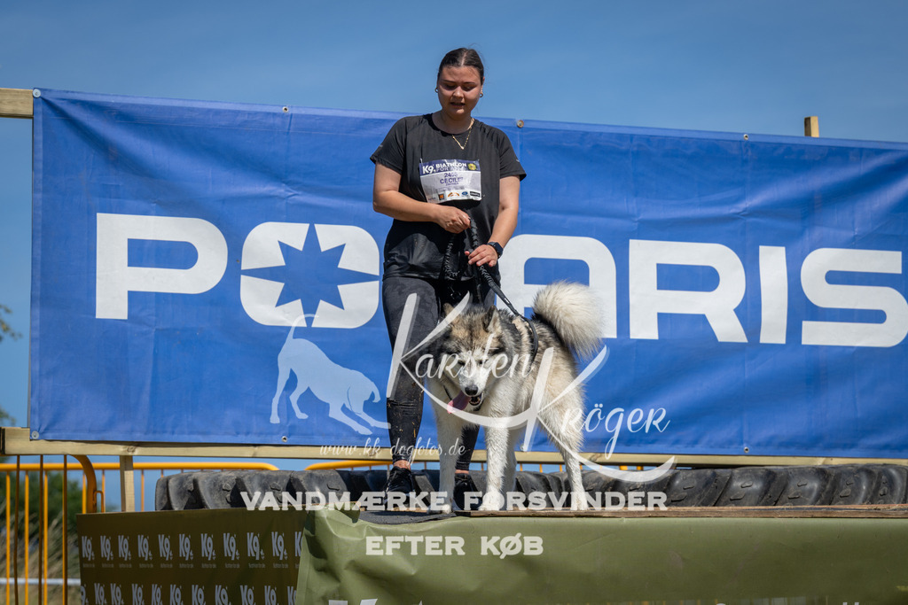 1313_ZZ98306 | kk-dogfotos