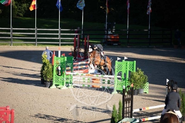 2B4A0066 | pixelfaenger - Realisiert mit Pictrs.com