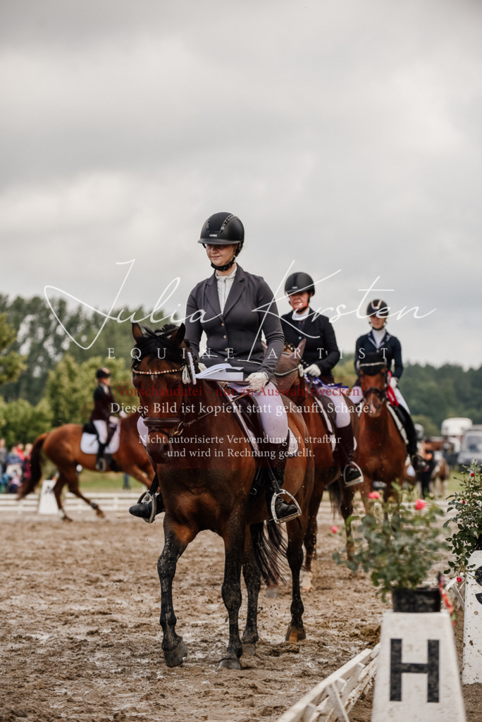 DSC_9395 | Pferde- und Turnierfotografie in Westsachsen. Pferdeportraits, Auftragszeichnungen und intuitive Kunst.