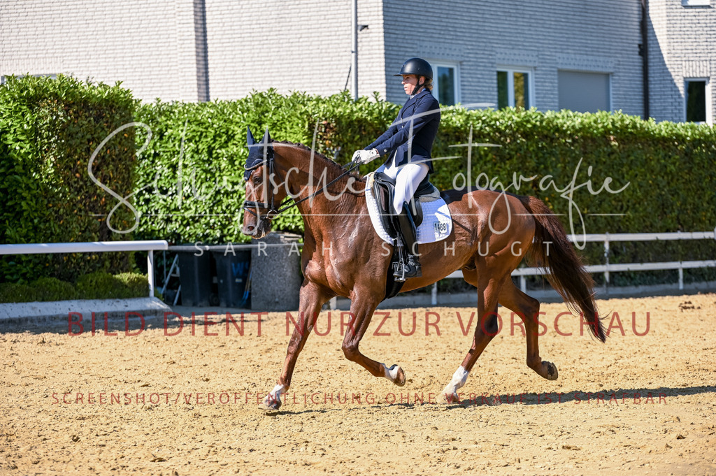 Schugtsche-Aluta25-50.Dressurpferdeprf.L-217 | Schugtsche Fotografie - Realisiert mit Pictrs.com