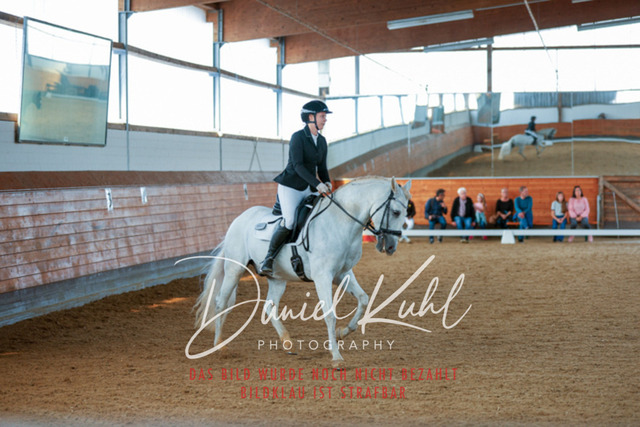 _62_7583 | Turniersportfotografie; Pferdefotografie; Dressurfotografie