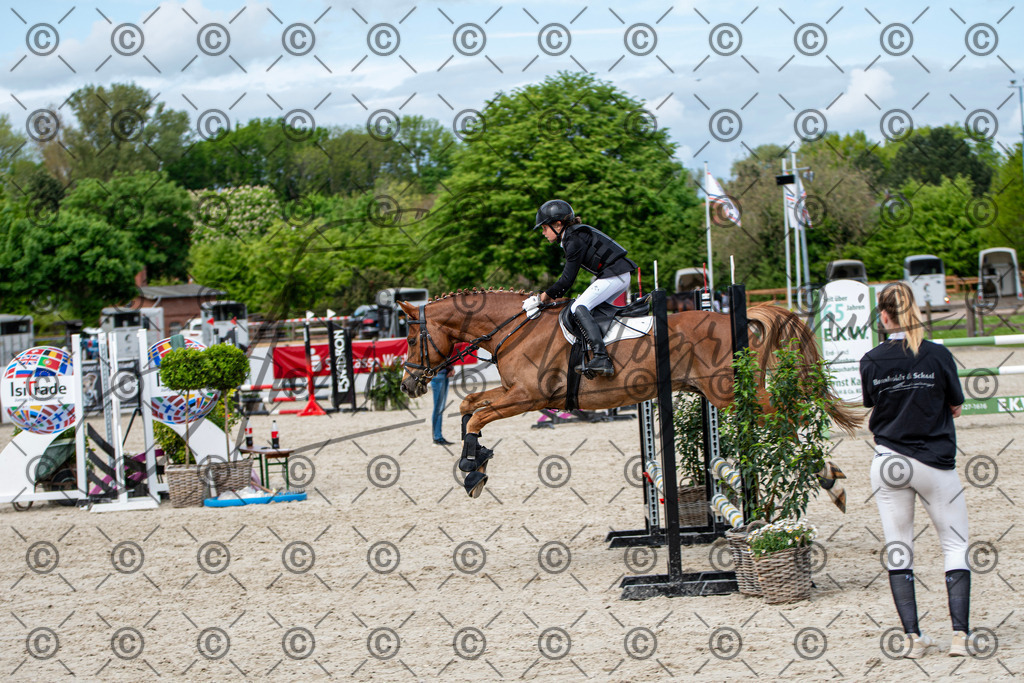 KPT_6042 | andre_photographic