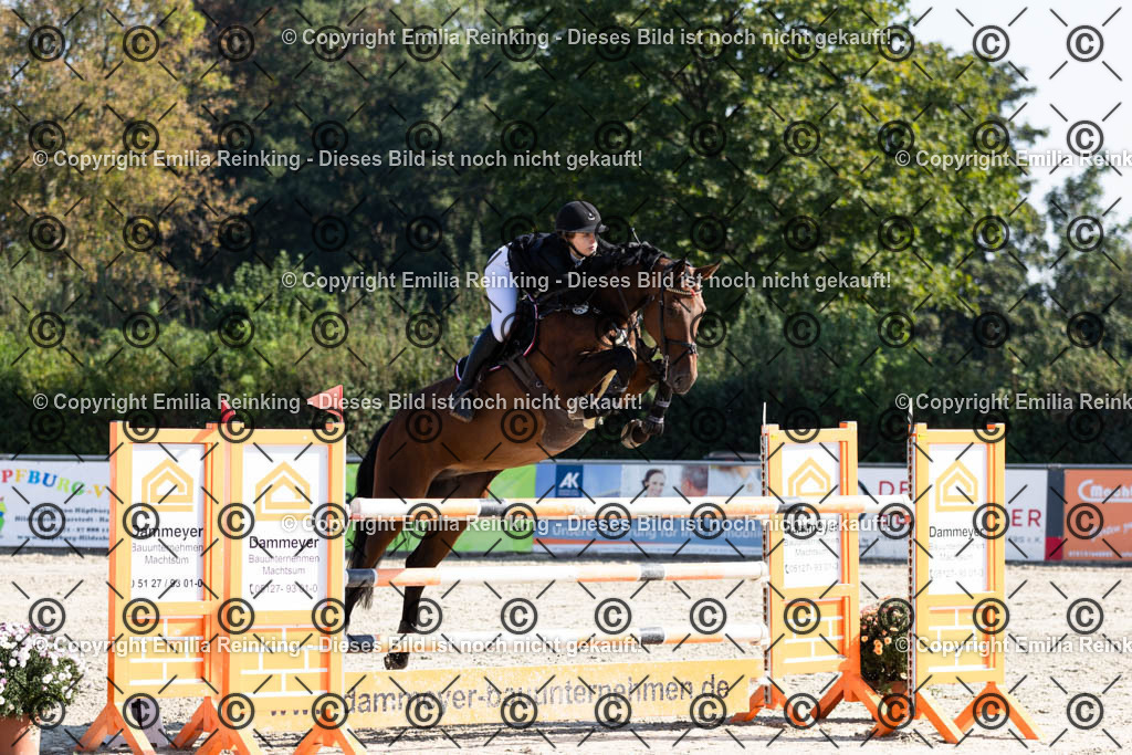 CL5A6262 | Emilia Reinking Fotografie - Realisiert mit Pictrs.com