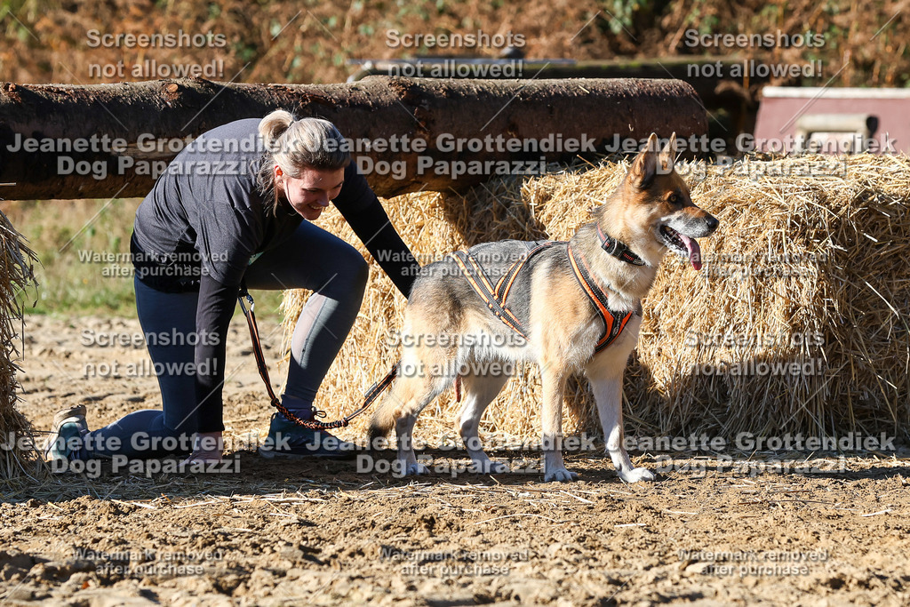 Dog Paparazzi - Strongdog 10-25-2413 | Dog Paparazzi Jeanette Grottendiek Fotografie & Videografie - Realisiert mit Pictrs.com