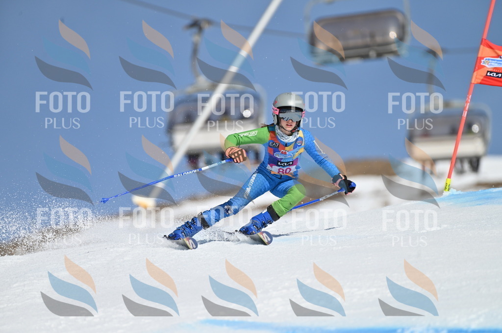 BGV_9060 | holidayphoto