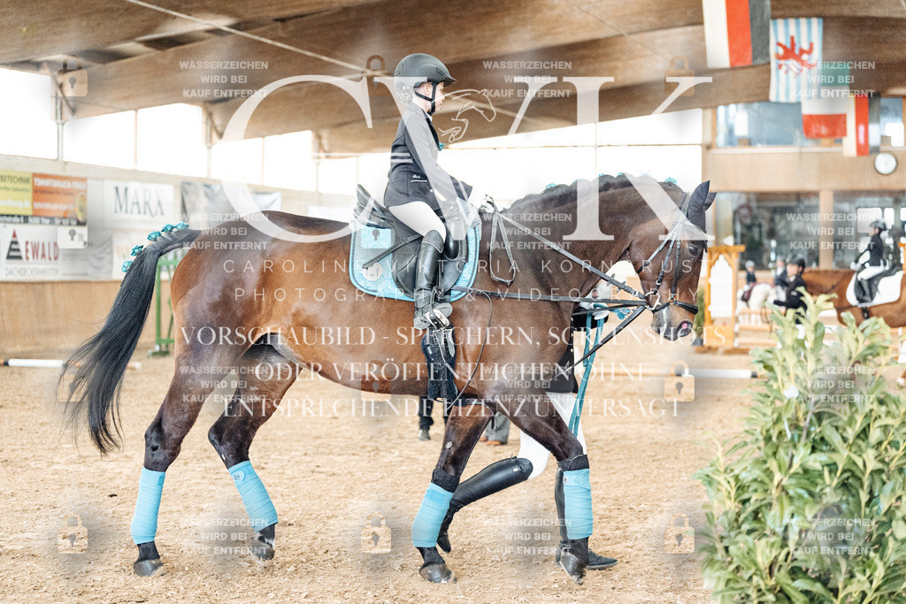 CK905597 | Turnierfotografie Pferdefotografie Trier Rheinland-Pfalz Pferdesport Reitsport Tierfotografie Sportfotografie Pferdevideo Pferdevideografie Equestrianvideography equestrianphotography  - Realized with Pictrs.com