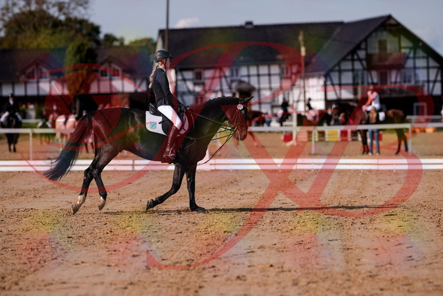 2026_10_03_Siefer-Hof_115615_Z81_96511793 | Professionelle Reitsport-, Turnier- und Eventfotografie von Robert Broda. Galerien mit ausgewählten und bearbeiteten Bildern direkt online ansehen und bestellen.