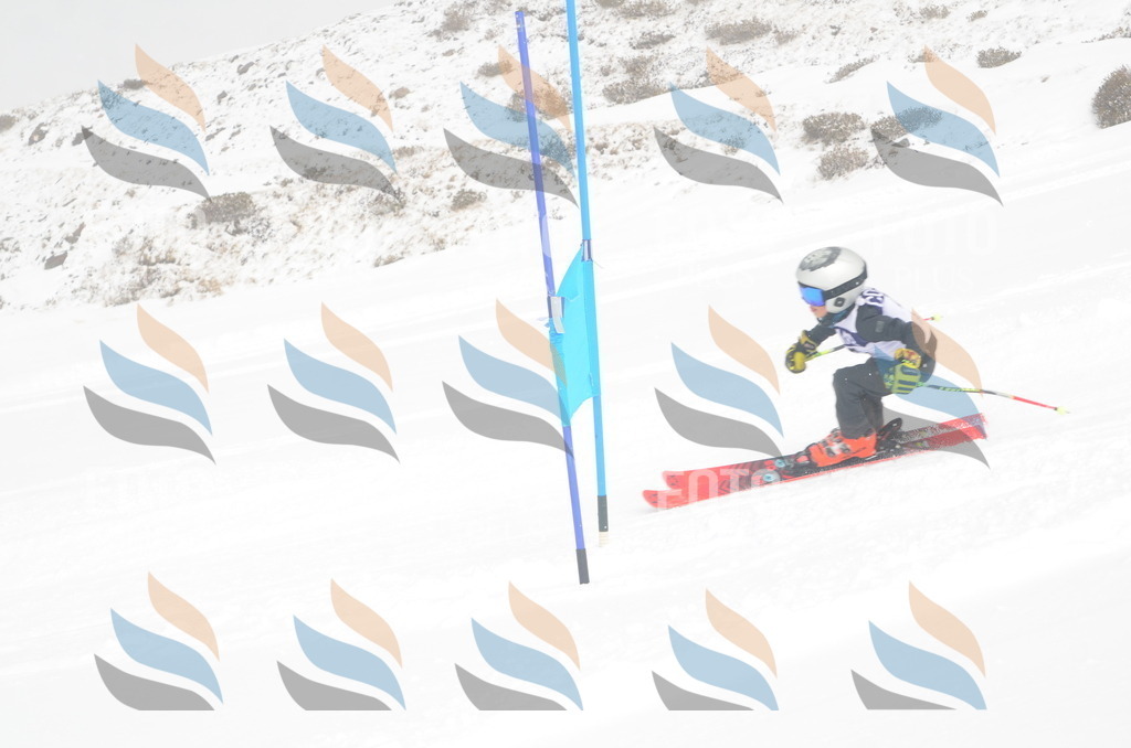 A5352 | holidayphoto