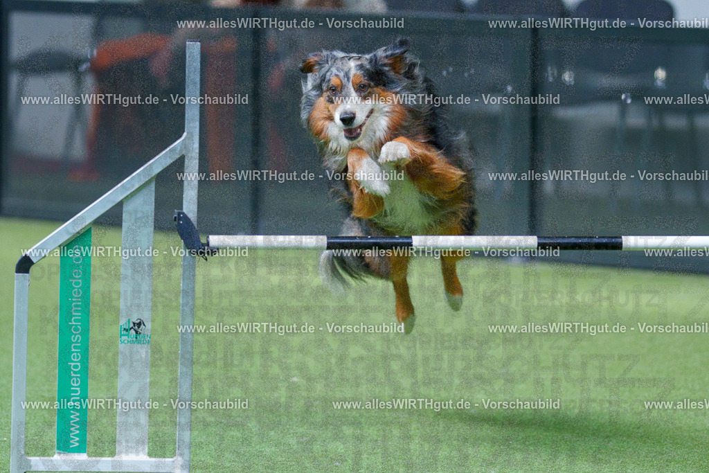 @allesWIRTHgut_Tierfotografie - www.allesWIRTHgut.de - 2604251516-7R505689 | Professionelle Tierfotografie in Mönchengladbach von Daniel Wirth (allesWIRTHgut). Liebevolle & natürliche Bilder von Hunden & Katzen für unvergessliche Erinnerungen.