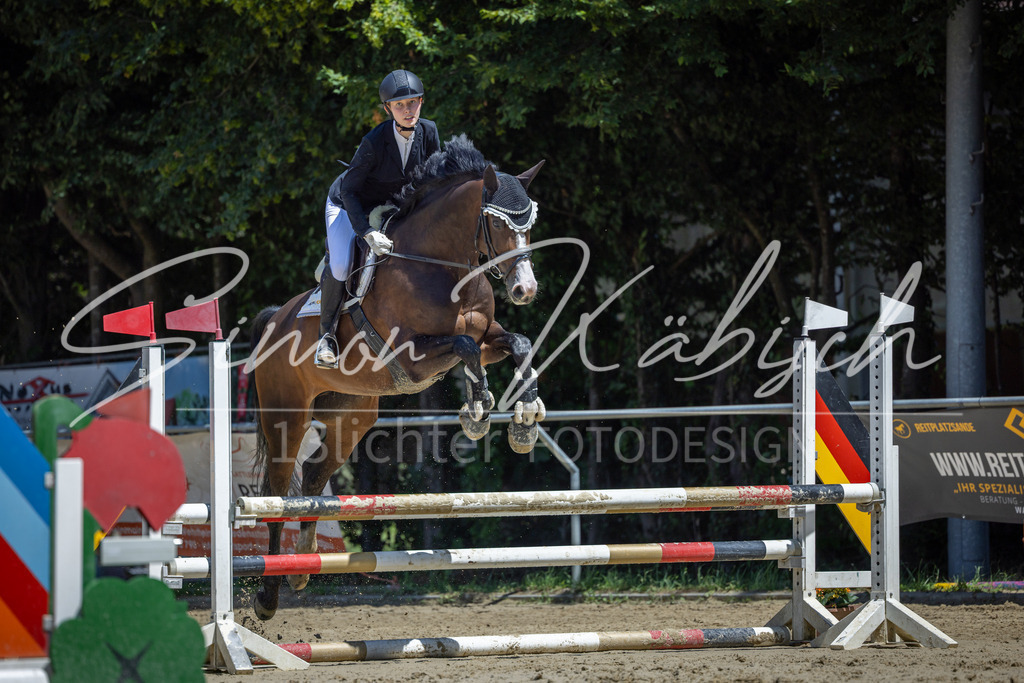 20260704-_3LI8376 | Tierfotografie Pferde, Hunde, Katzen, Haustiere.
Turnierfotografie Reitturniere, Reiten, Springreiten, Dressur in Hanau, dem Main-Kinzig-Kreis und dem Rhein-Main- Gebiet um Frankfurt