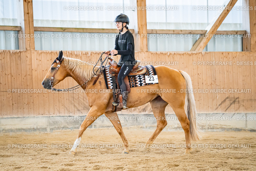 DSC09140 | Pferdegrafie