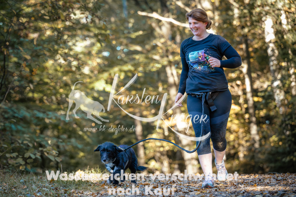 1016_ZZ99523 | kk-dogfotos