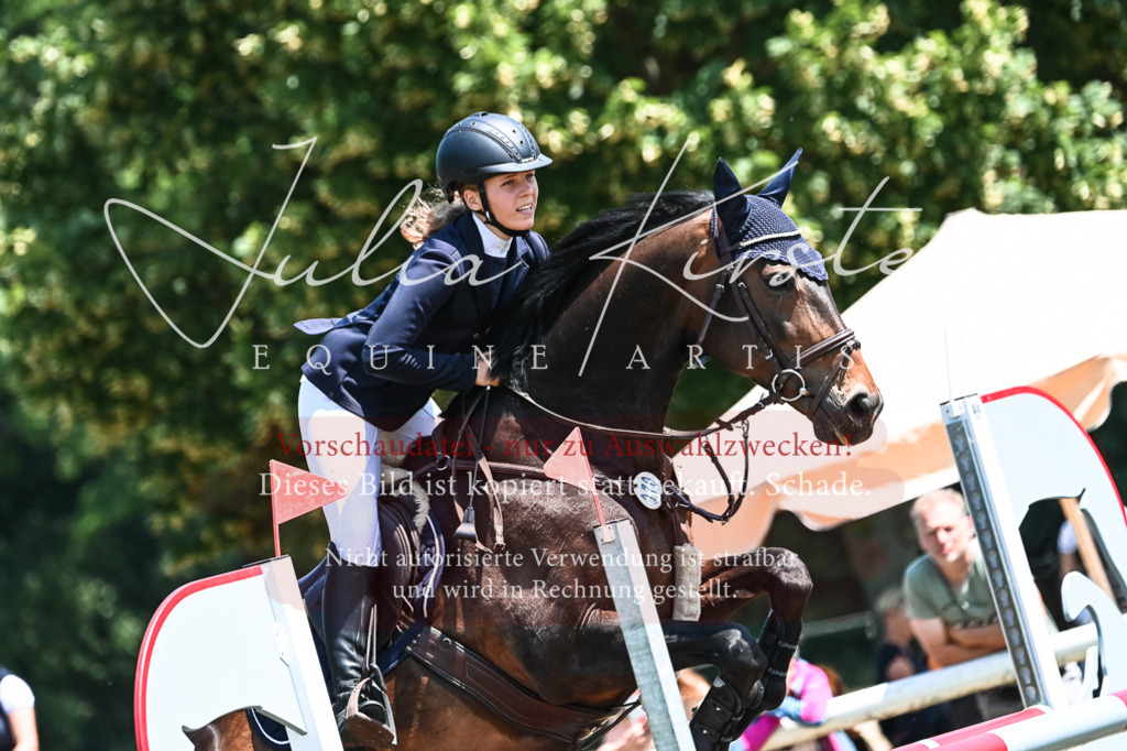 DSC_0108 | Pferde- und Turnierfotografie in Westsachsen. Pferdeportraits, Auftragszeichnungen und intuitive Kunst.