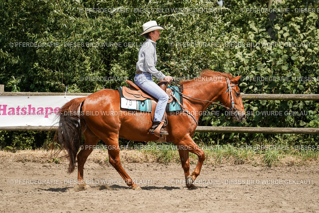 DSC09595 | Pferdegrafie