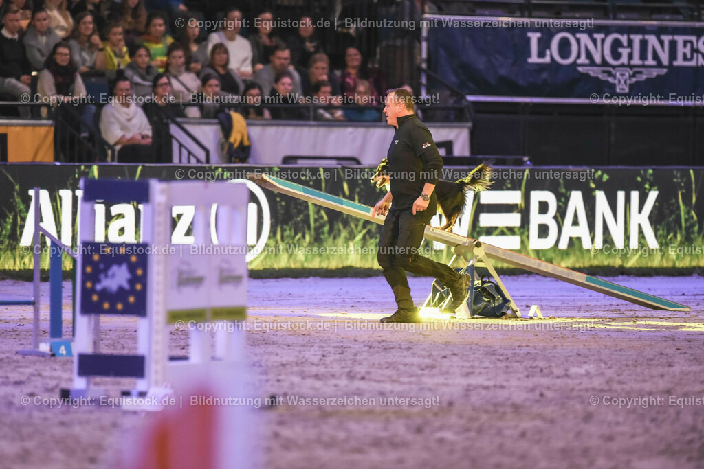 20231115_Dog-Agility_0171_TOMsPiC | Foto: Thomas Hartig
