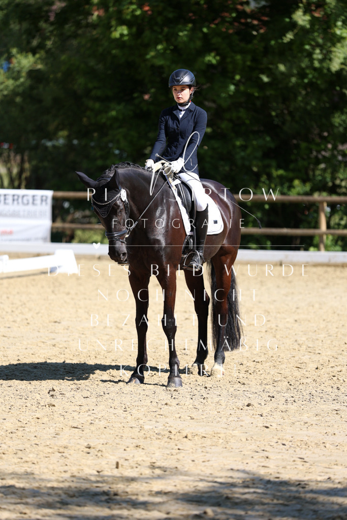 IMGT0384 | pl-fotografie