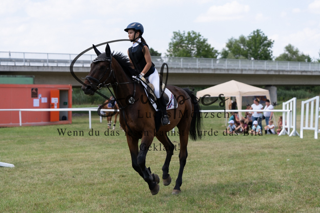 A7V00475 | Turnier/Reitfotograf