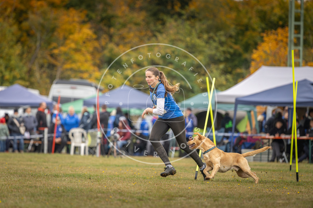 Pfotenfotografie_DV3A3659 | Hundefotografie, Tierfotograf, Pfotenfotografie, Fotoshooting Hund, Hunde Portrait, Hundesport, Hundeportraits, Heideshooting, Hunde, Sportfotograf, Hundefotograf, Turnierhundsport, THS,  - Realisiert mit Pictrs.com