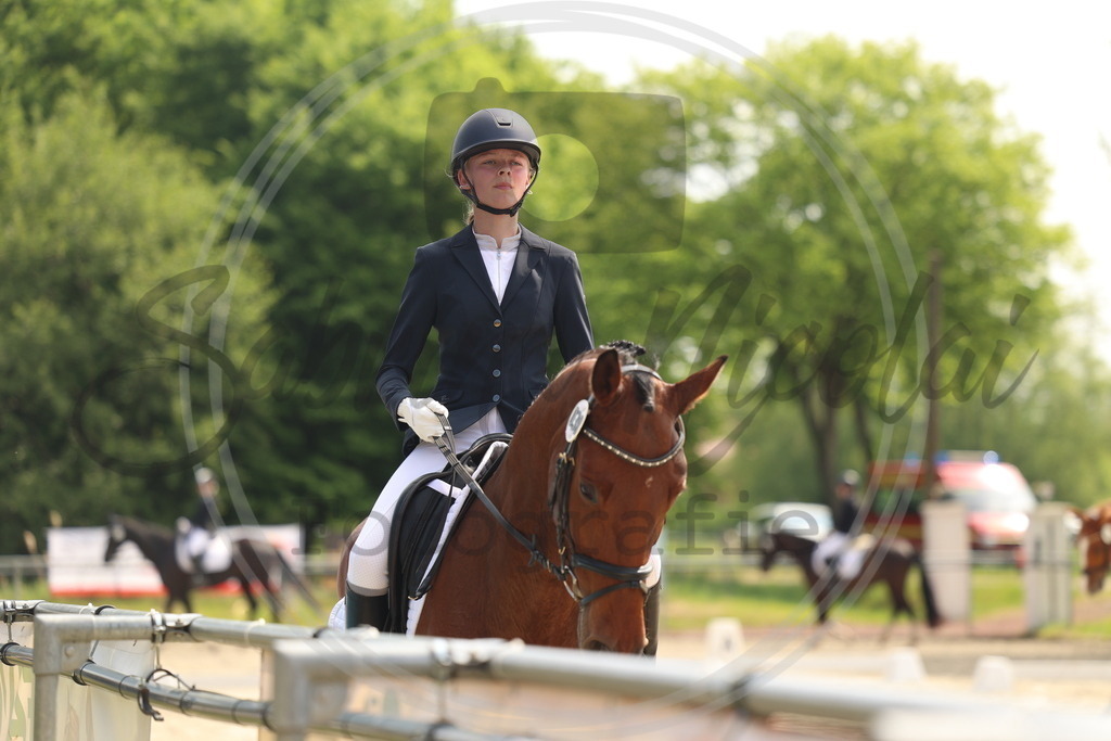 994A6528 | sabrinanicolaifotografie - Realisiert mit Pictrs.com