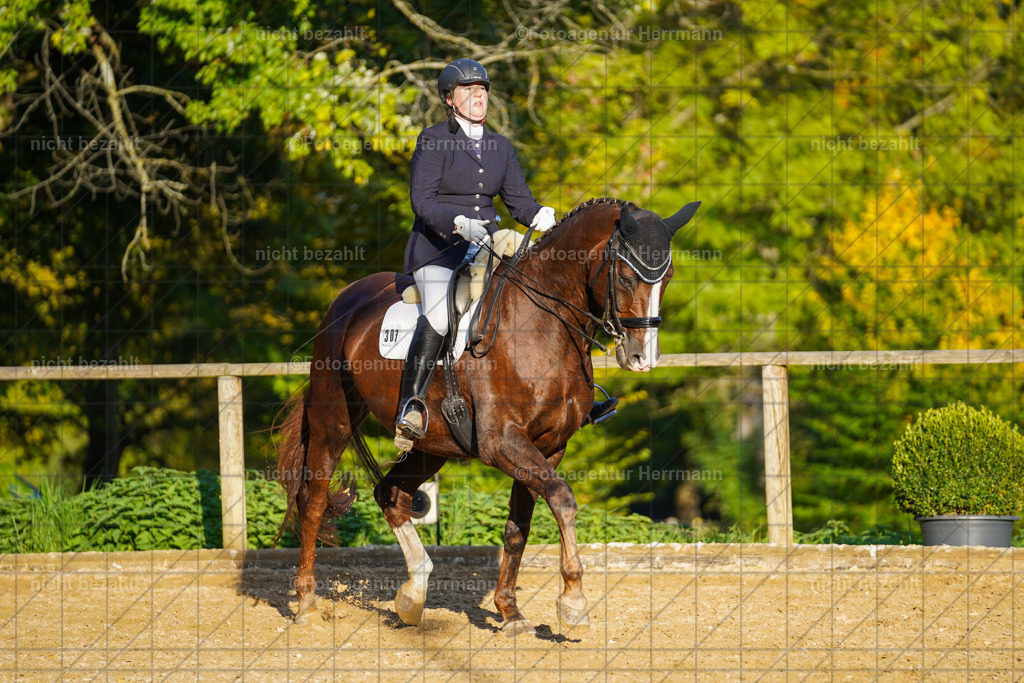 20221007-FAH00364 | Diessen am Ammersee, 2022, Dressur- und Springturnier, Reitsportbilder, Turnierfotografen Bayern, Pferdefotografen, Fotoagentur Herrmann, Turnierbilder