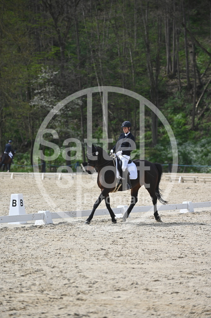 DSC_4288 | sattelsport - Realisiert mit Pictrs.com