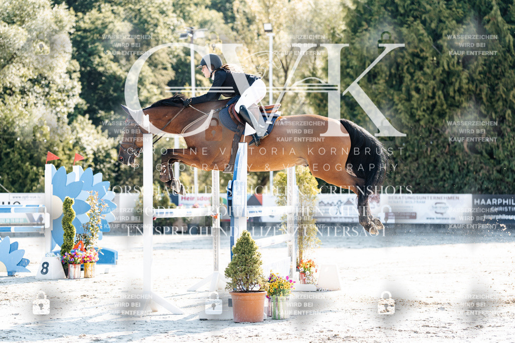 CK901722 | Turnierfotografie Pferdefotografie Trier Rheinland-Pfalz Pferdesport Reitsport Tierfotografie Sportfotografie Pferdevideo Pferdevideografie Equestrianvideography equestrianphotography  - Realisiert mit Pictrs.com