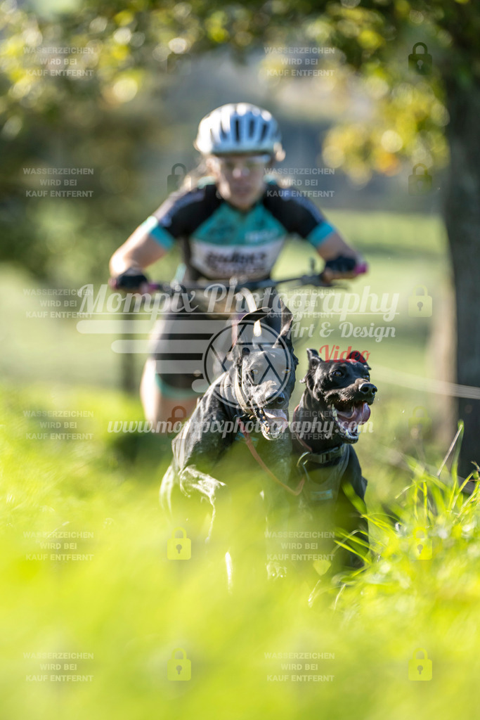 MompixPhotography_20TSB_E3_DS2-23 | PayLife