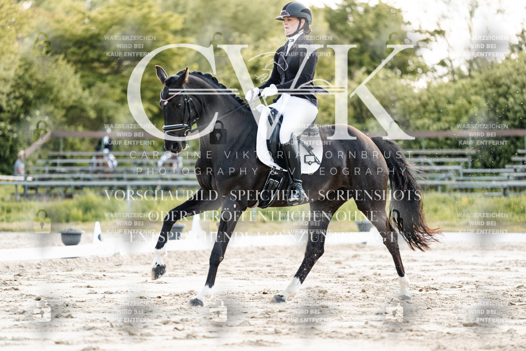 CK909446 | Turnierfotografie Pferdefotografie Trier Rheinland-Pfalz Pferdesport Reitsport Tierfotografie Sportfotografie Pferdevideo Pferdevideografie Equestrianvideography equestrianphotography  - Realisiert mit Pictrs.com