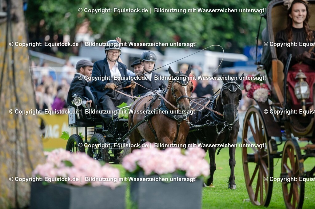 20250606_Lange-Pferdenacht_0093 | Foto: Thomas Hartig