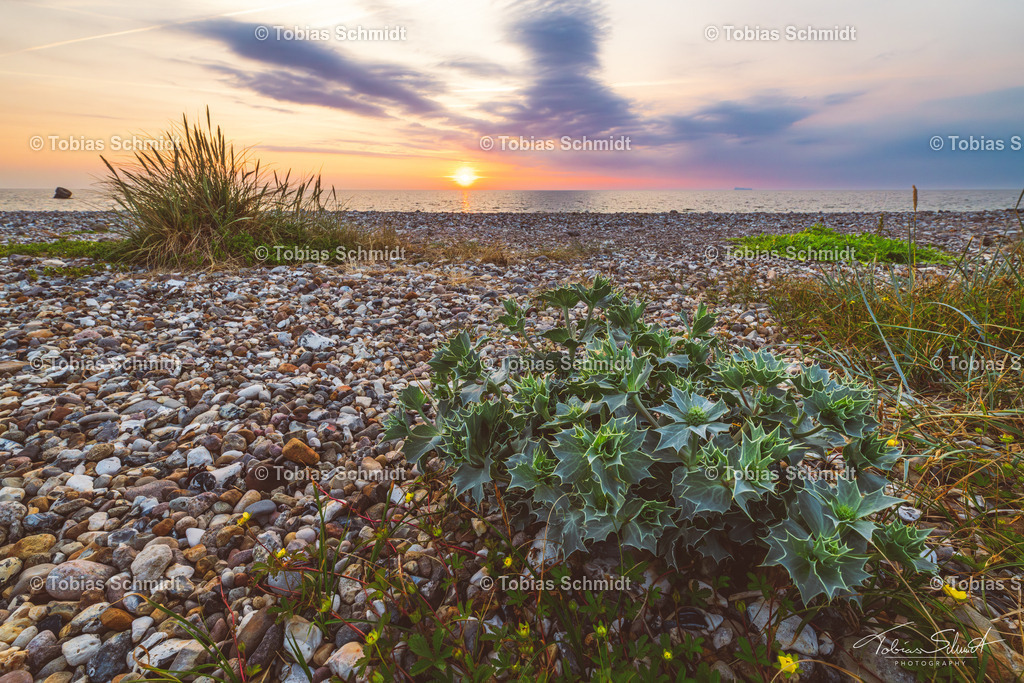 Fehmarn__DSC1519-Verbessert-RR | Fotoprodukte, Kalender und Wanddeko direkt vom Fotografen auf Fehmarn. Ob Wandbild auf Alu-Dibond, hinter Acrylglas oder auf Leinwand – hier können Sie Ihr Lieblingsbild kaufen. - Realisiert mit Pictrs.com