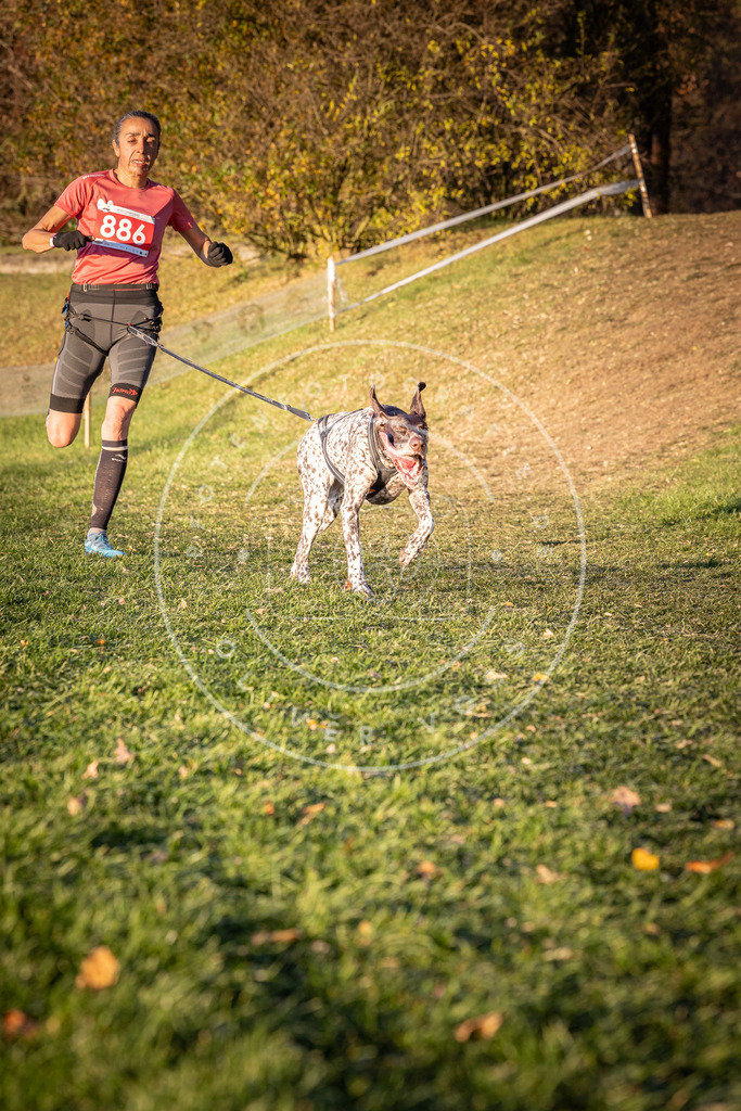 CaniXpix_0L8A1181 | Hundefotografie, Tierfotograf, Pfotenfotografie, Fotoshooting Hund, Hunde Portrait, Hundesport, Hundeportraits, Heideshooting, Hunde, Sportfotograf, Hundefotograf, Turnierhundsport, THS,  - Realisiert mit Pictrs.com