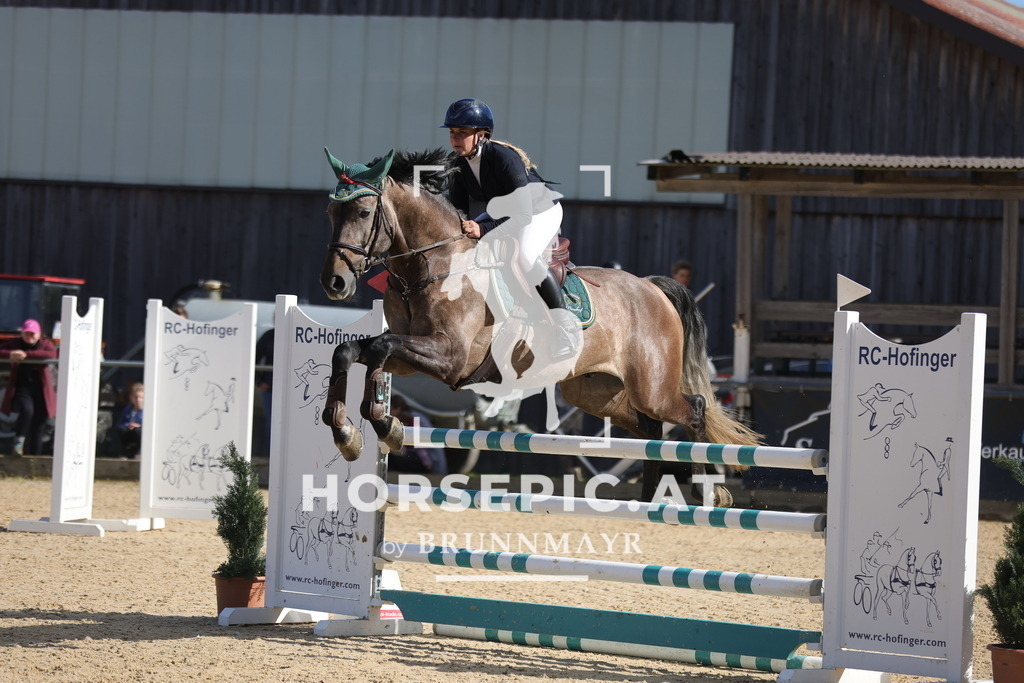 0P6A8544 | Willkommen bei Brunnmayr - Design & Fotografie – Ihrem Spezialisten für Reitturniere und Pferdeveranstaltungen in Oberösterreich, Salzburg und Bayern! Seit über 17 Jahren sind wir leidenschaftlich dabei.